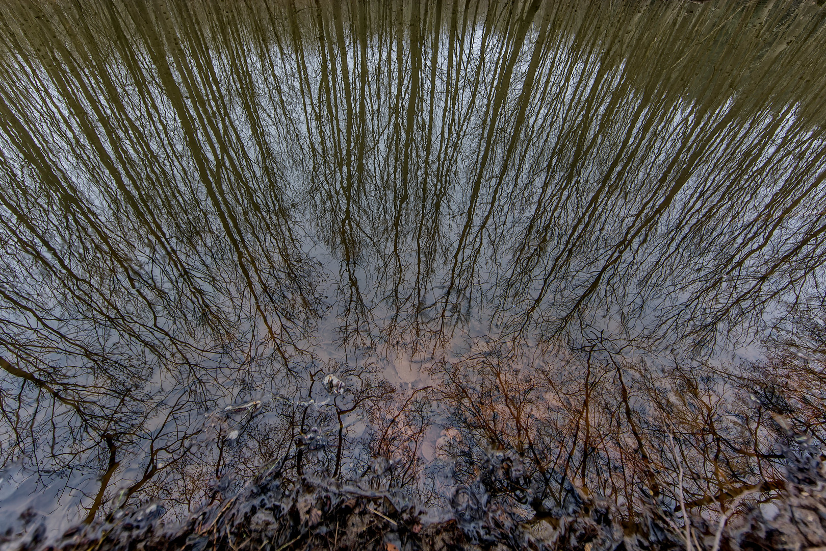 Wald und Wasser Kombination