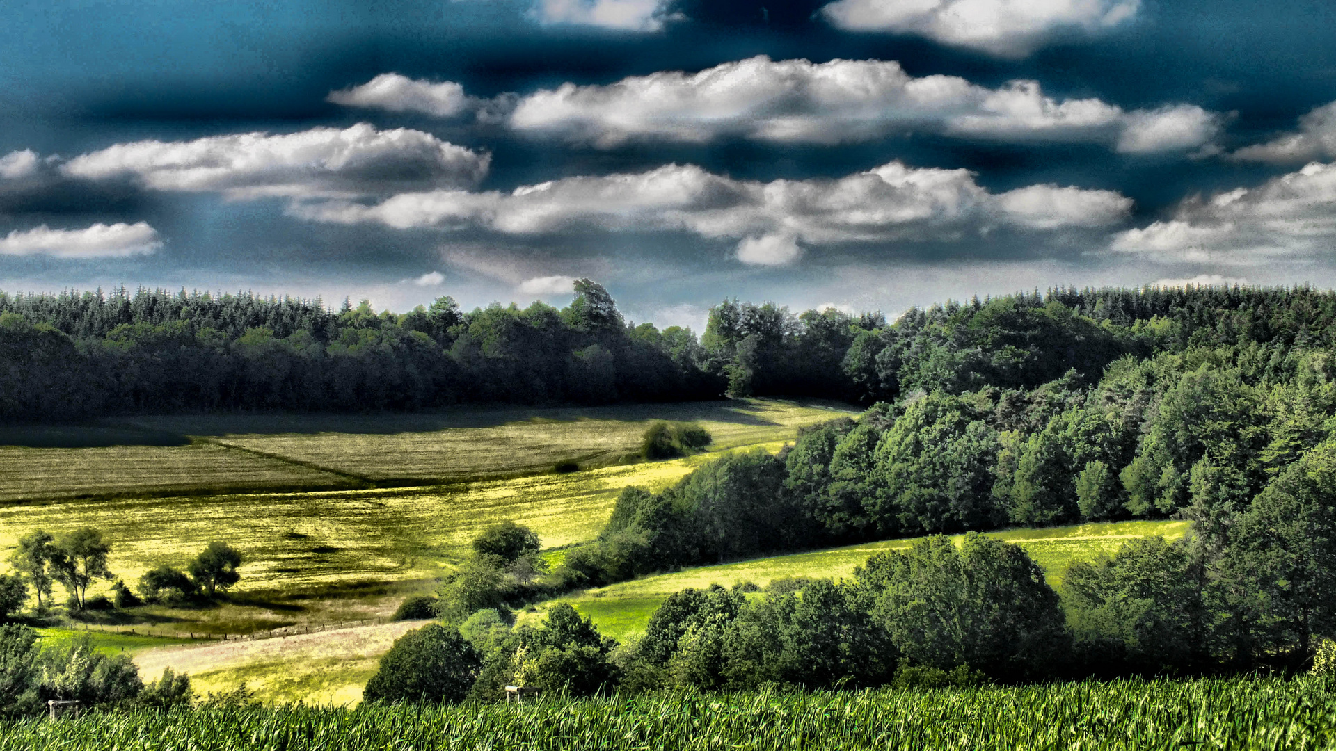 Wald und Wiese Foto &amp; Bild landschaft, Äcker, felder &amp; wiesen, natur
