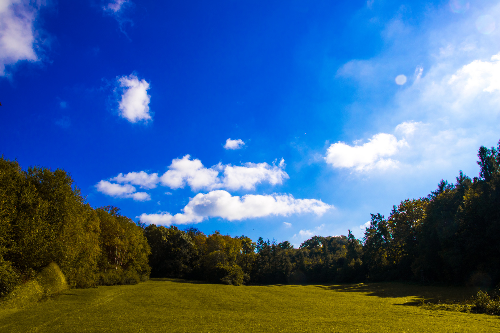 wald und wiese Foto &amp; Bild | landschaft, jahreszeiten, herbst Bilder ...