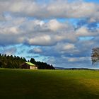 Wald und Wiese