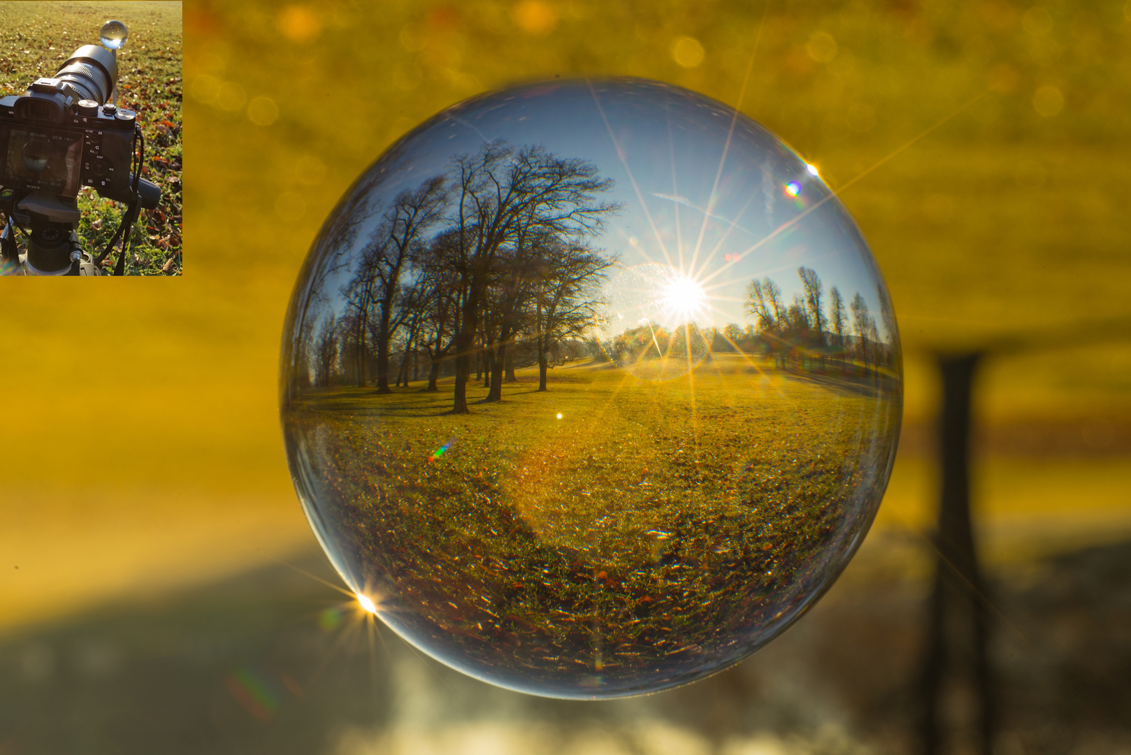 Wald und Wiese im Glas