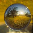 Wald und Wiese im Glas