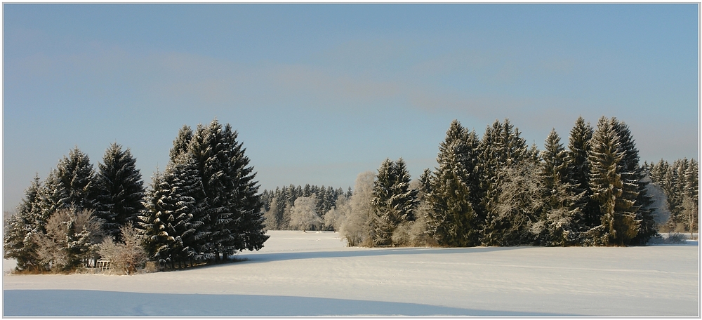 Wald und Wiese mit Schnee bedeckt Foto &amp; Bild | jahreszeiten, winter ...