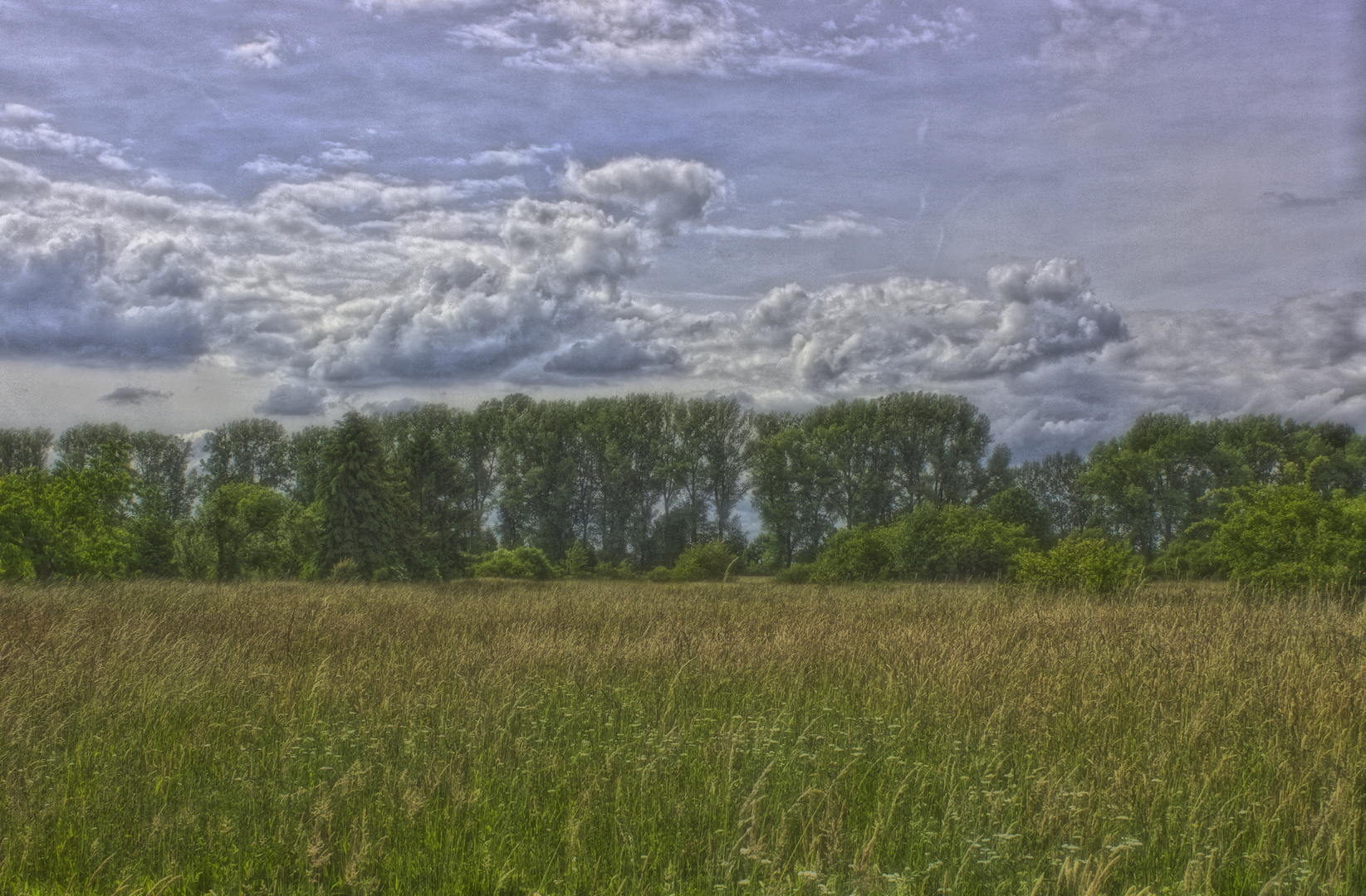 Wald und Wiese-soft-HDR