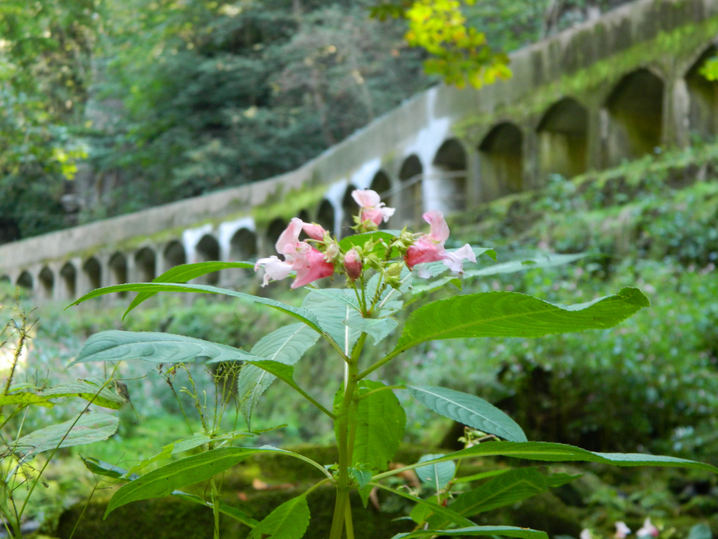 Wald und Wiese - Wasserwerk