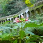 Wald und Wiese - Wasserwerk