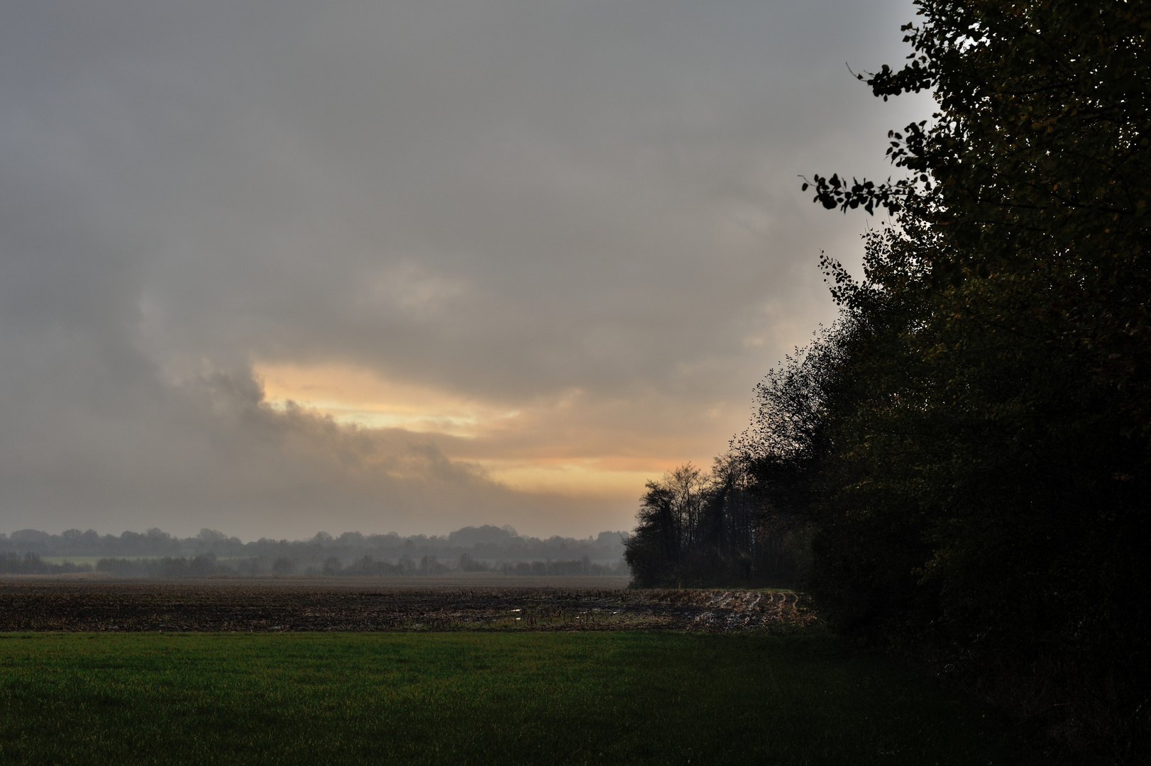 wald und wiesen