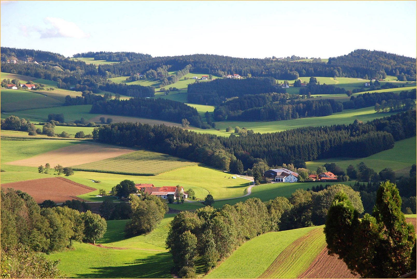 Wald und Wiesen Foto &amp; Bild | deutschland, europe, bayern Bilder auf ...