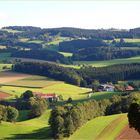 Wald und Wiesen