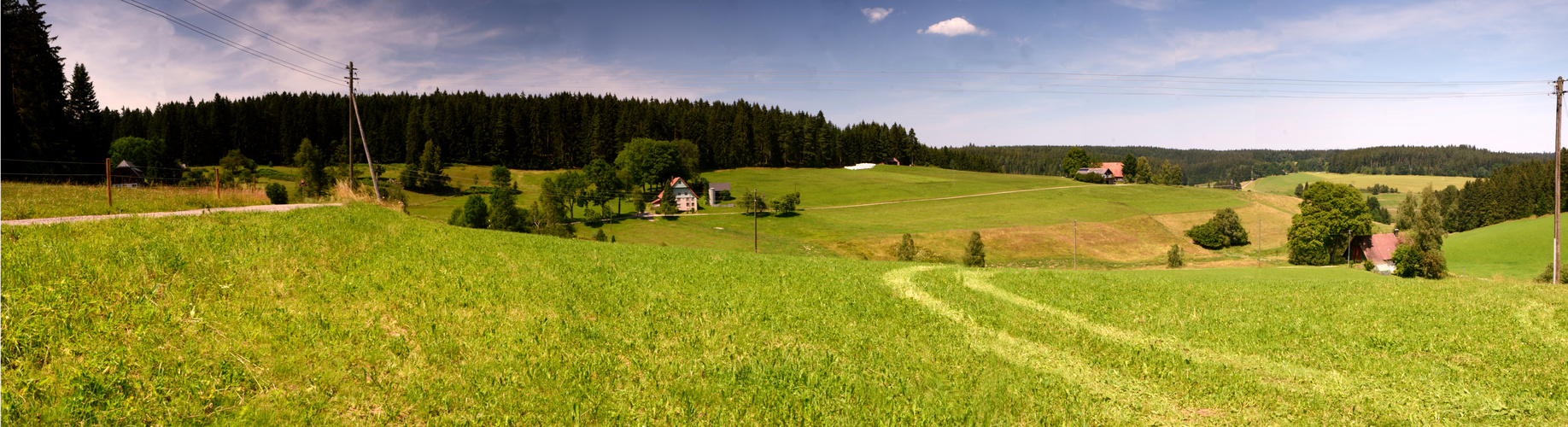 Wald und Wiesen