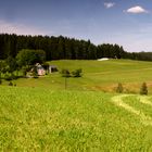 Wald und Wiesen