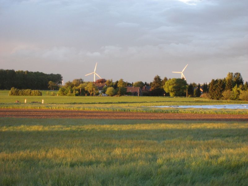 Wald und Wiesen