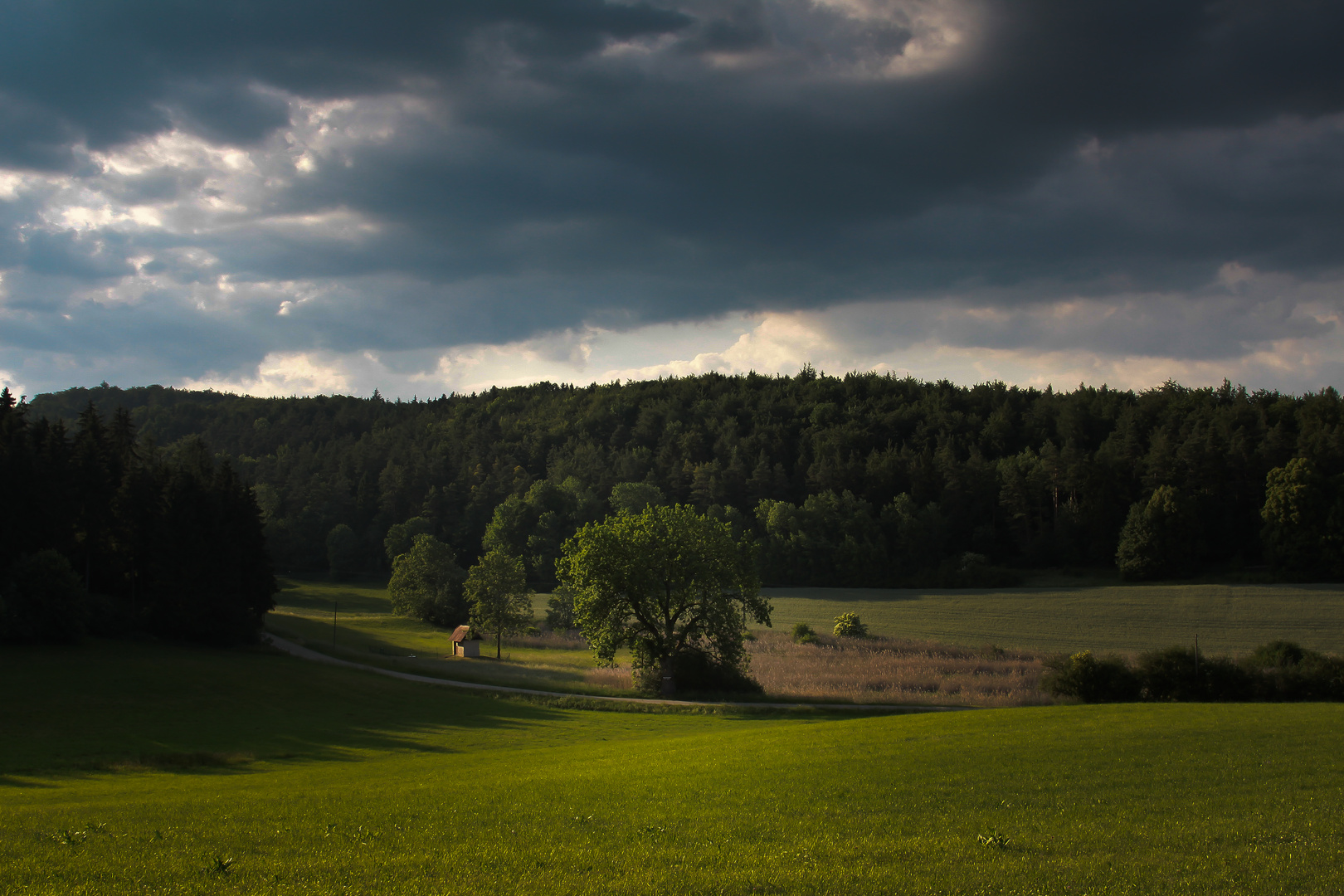 Wald und Wiesen