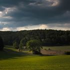 Wald und Wiesen