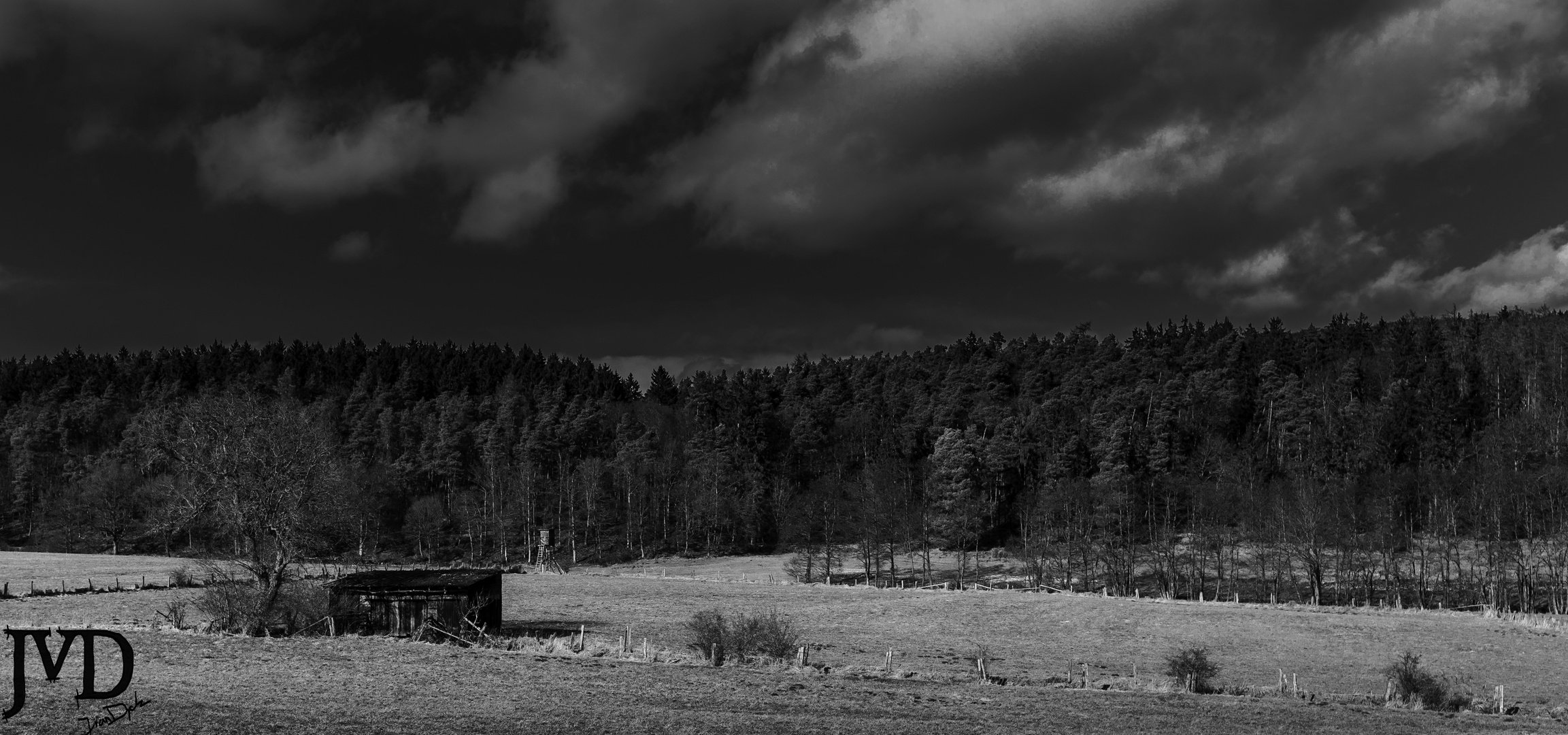 Wald und Wiesen in schwarz und weiß