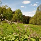 Wald- und Wiesen-Wanderweg