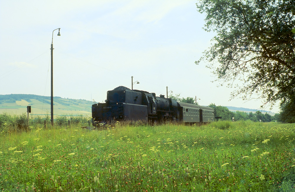 Wald- und Wiesenexpress