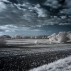 Wald und Wiesenlandschaft in IR #5