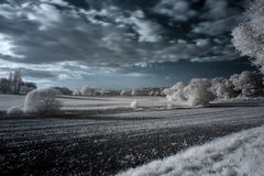 Wald und Wiesenlandschaft in IR #5