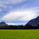 Wald- und Wiesenträume