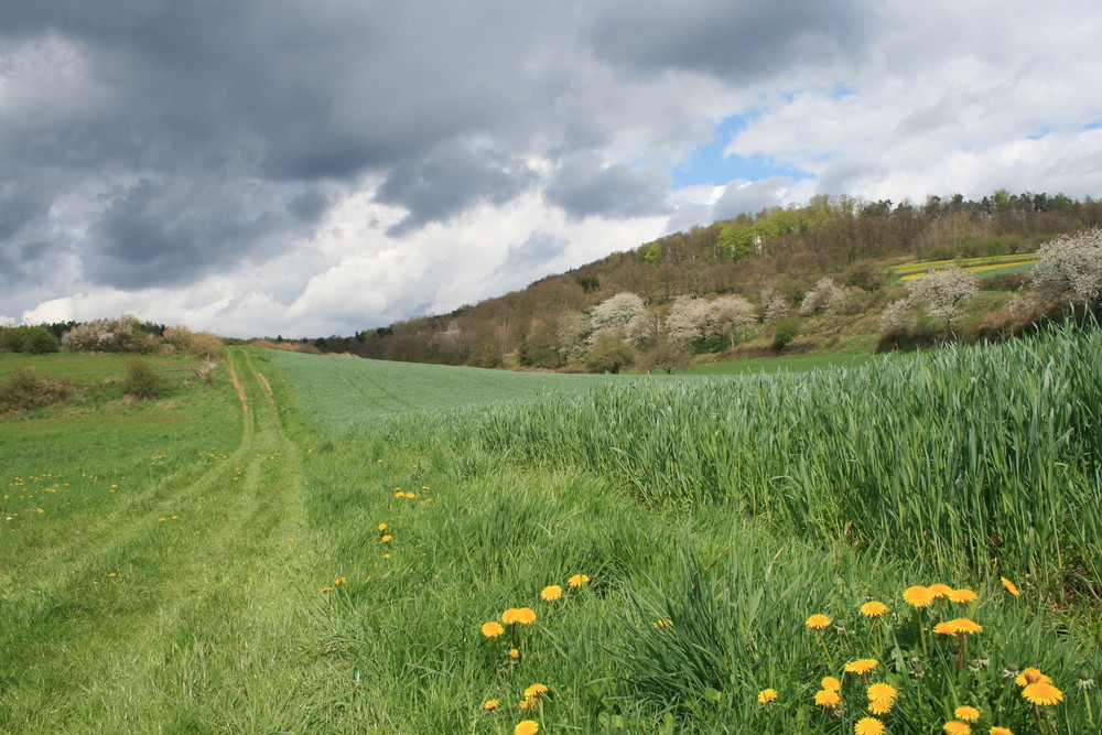 wald- und wiesenweg "ungewiss"