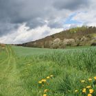 wald- und wiesenweg "ungewiss"