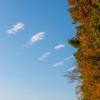 Wald und Wolken im Herbst