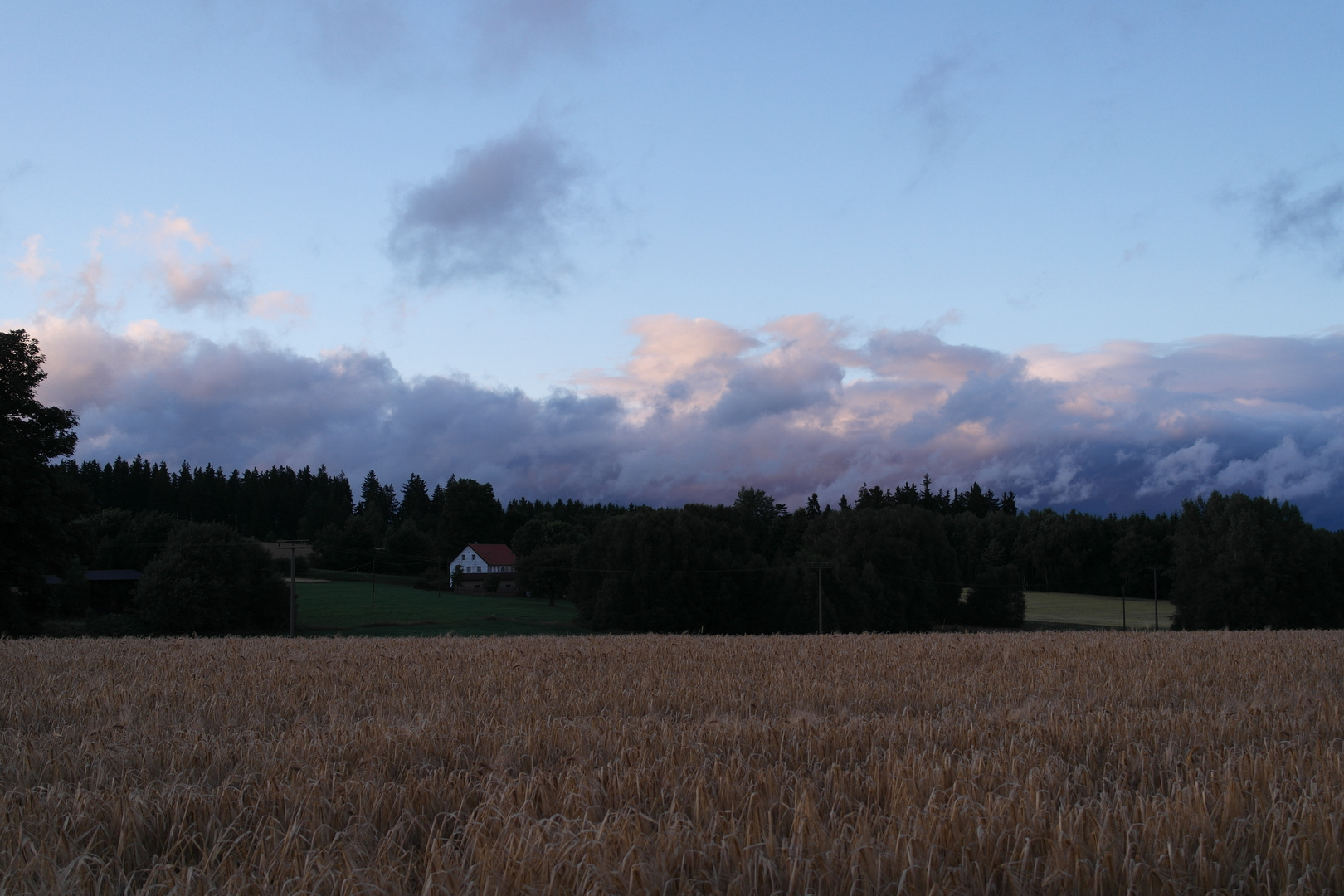 Wald-und Wolkenschatten nach Dauerregen