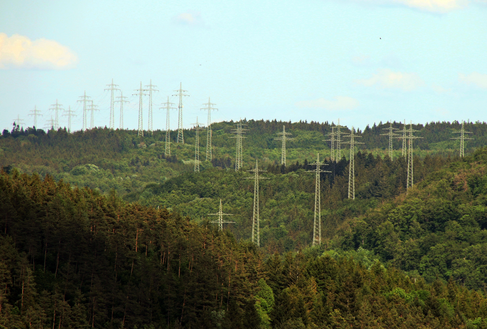 Wald unter Strom