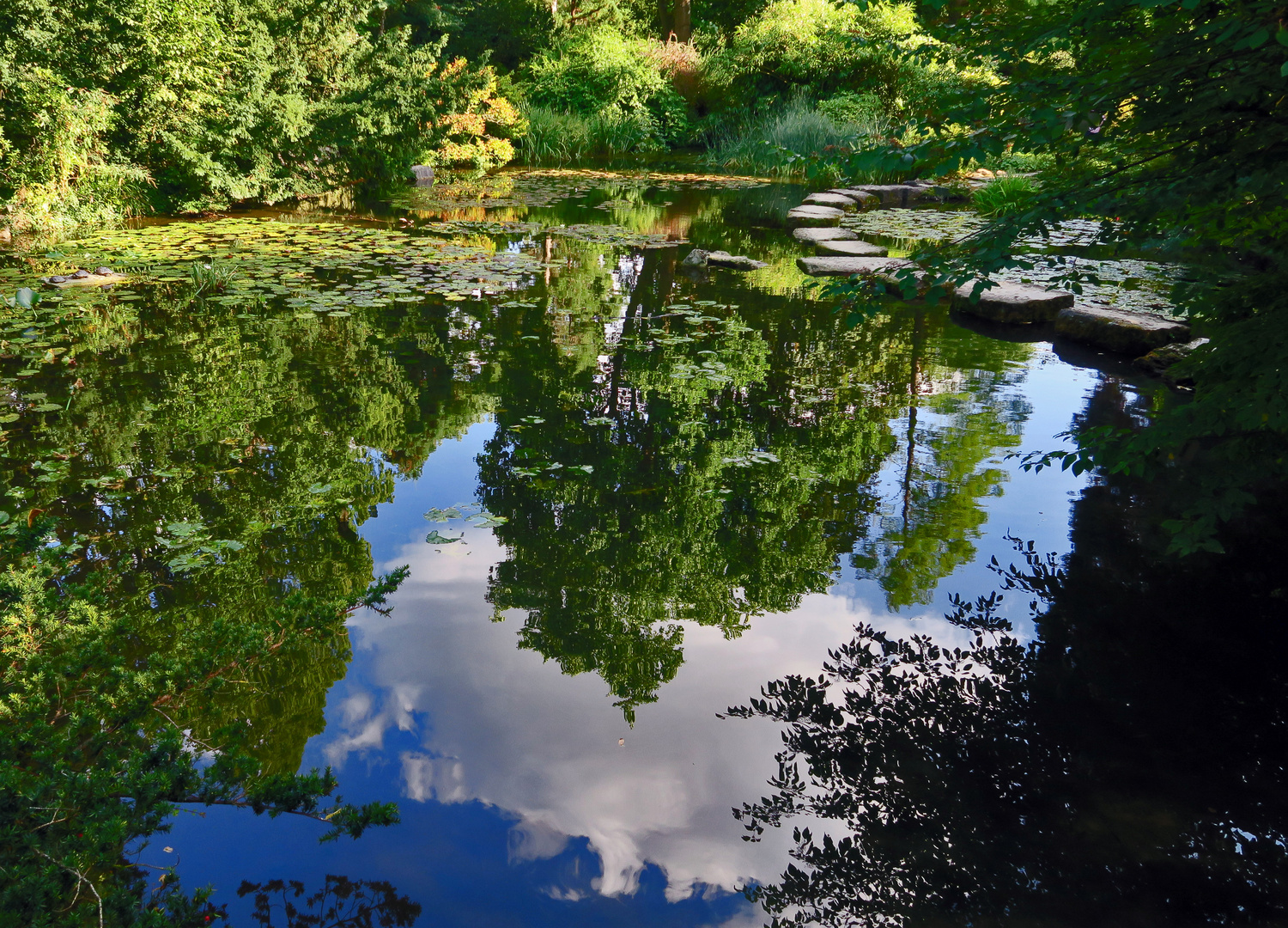 Wald verspiegelt.......