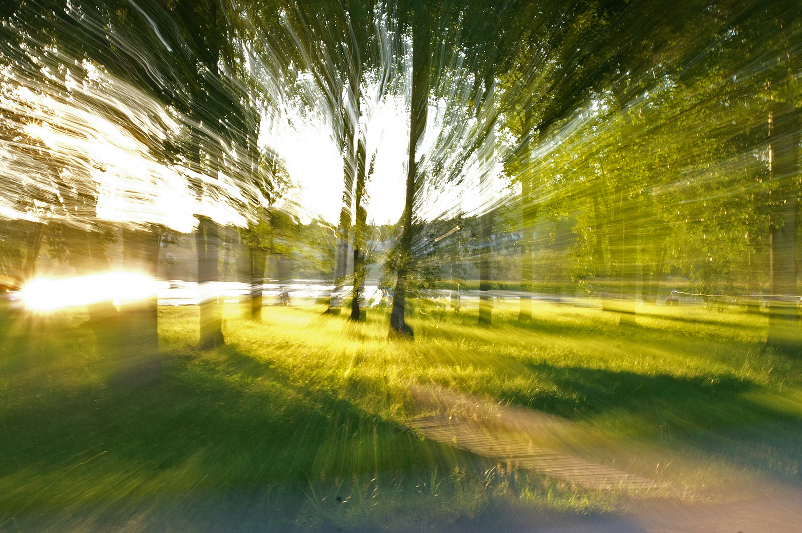 Wald vor lauter Bäume