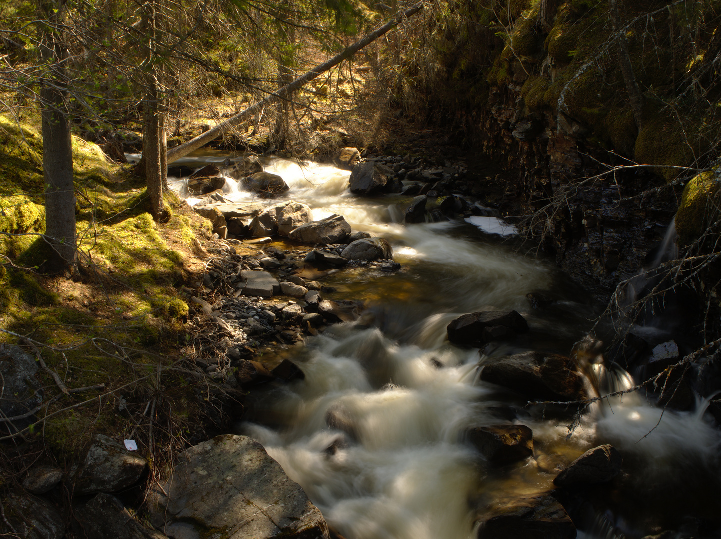 Wald & Wasser