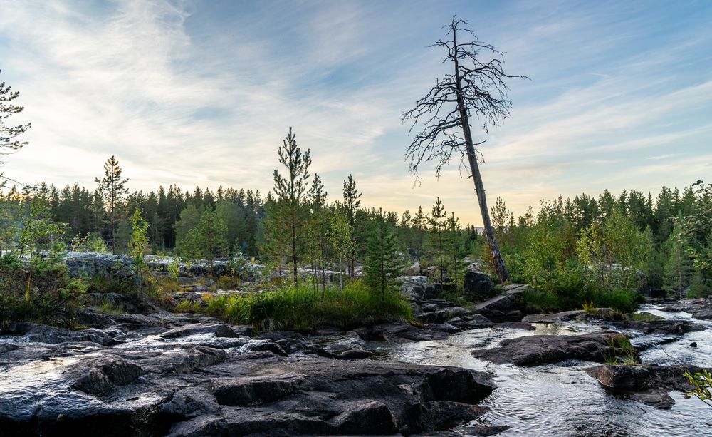 Wald, Wasser, Granit