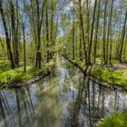 Wald - Wasser - Himmel