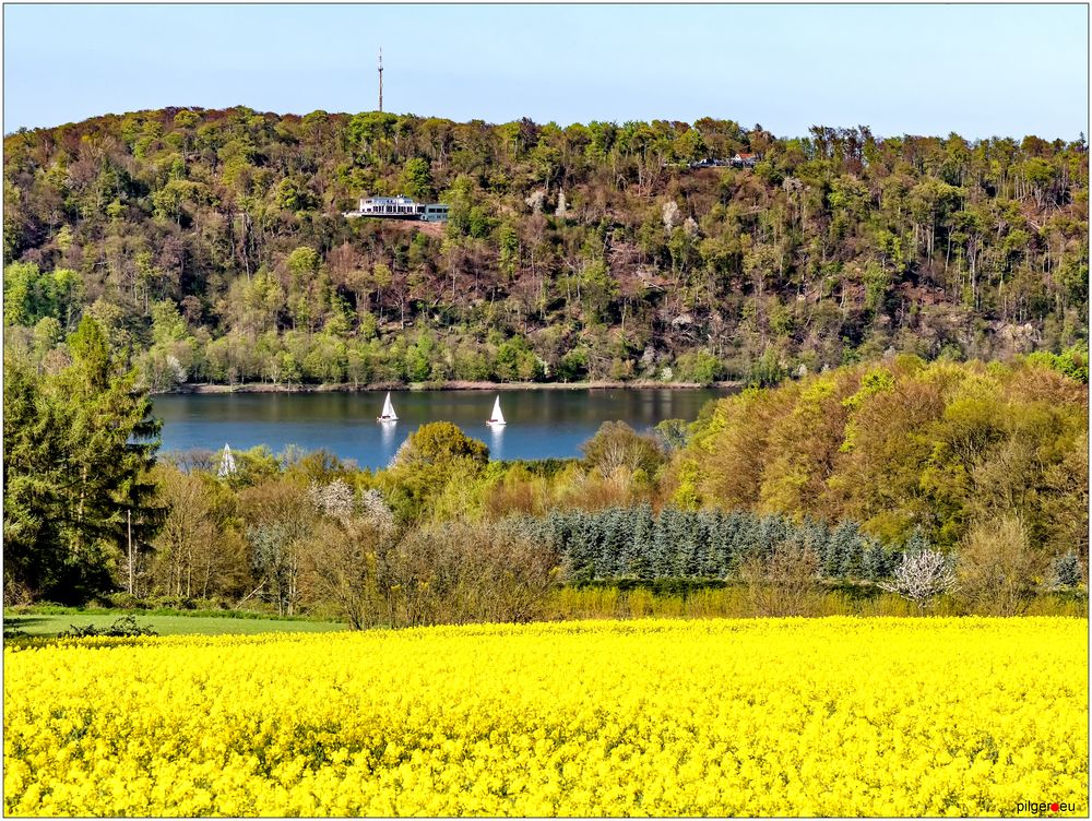 Wald - Wasser - Raps