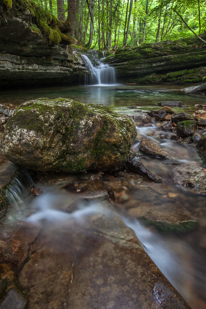 Wald Wasser Zauber