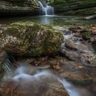 Wald Wasser Zauber