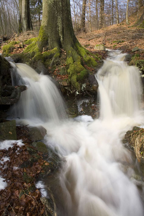 Wald-Wasserspeicher