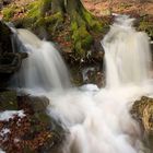 Wald-Wasserspeicher