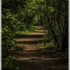 WALD - WEG, sonst nix