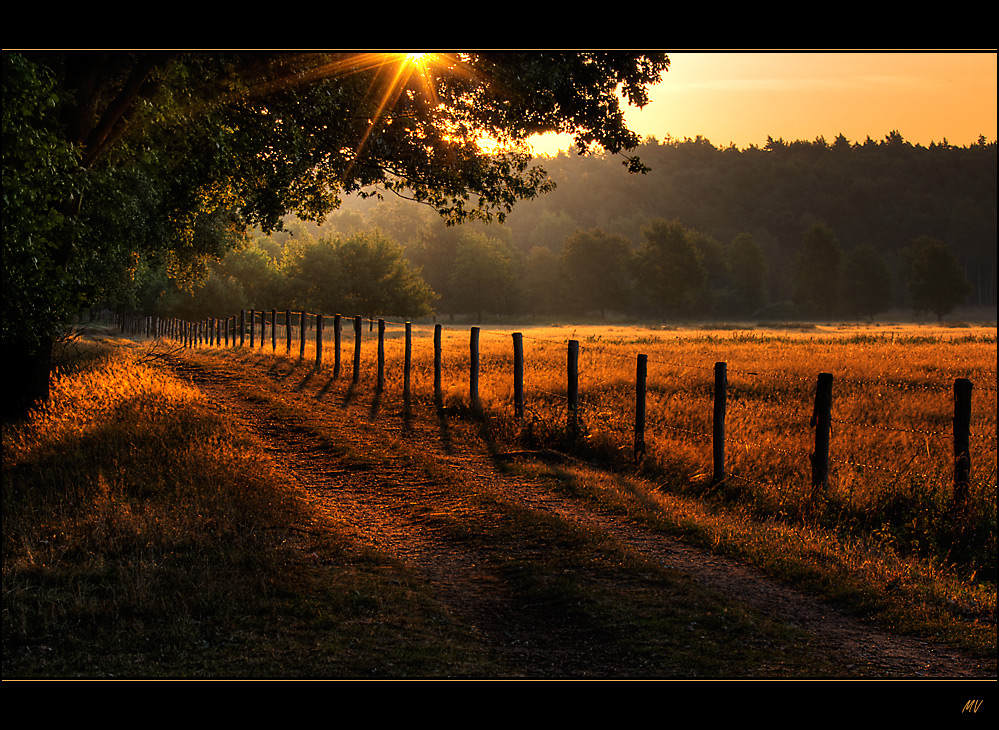 Wald, Weg und Wiese