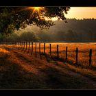 Wald, Weg und Wiese