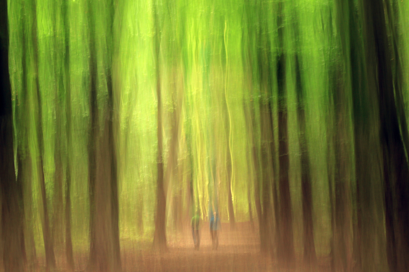 Wald wie gemalt