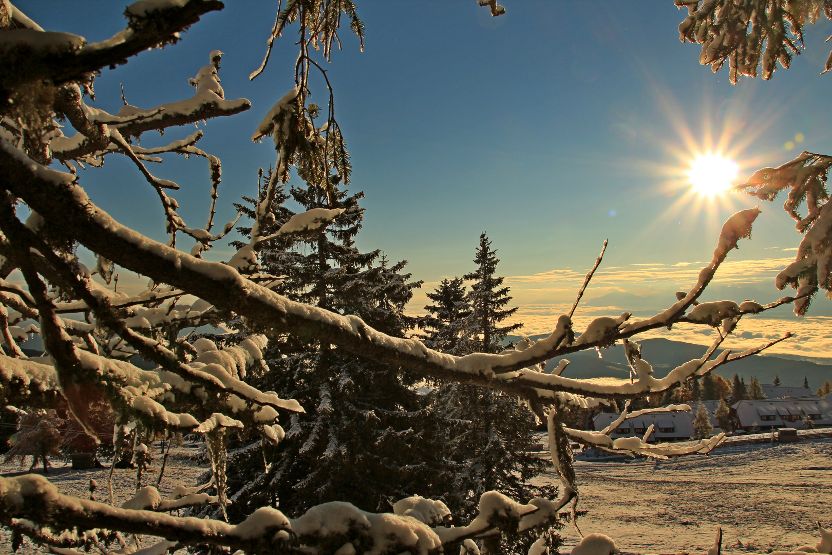 Wald &Winter