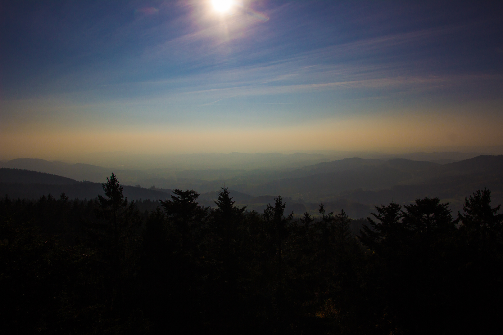 Wald Wipfel Pfad (Über den Bäumen)