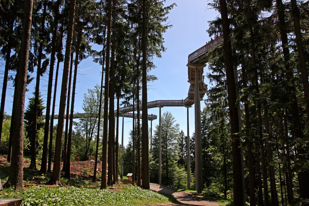 Wald Wipfel Weg