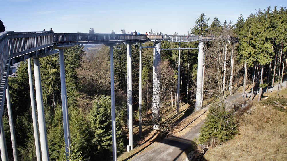 Wald-Wipfel-Weg