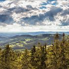 Wald-Wipfel-Weg - Sankt Englmar