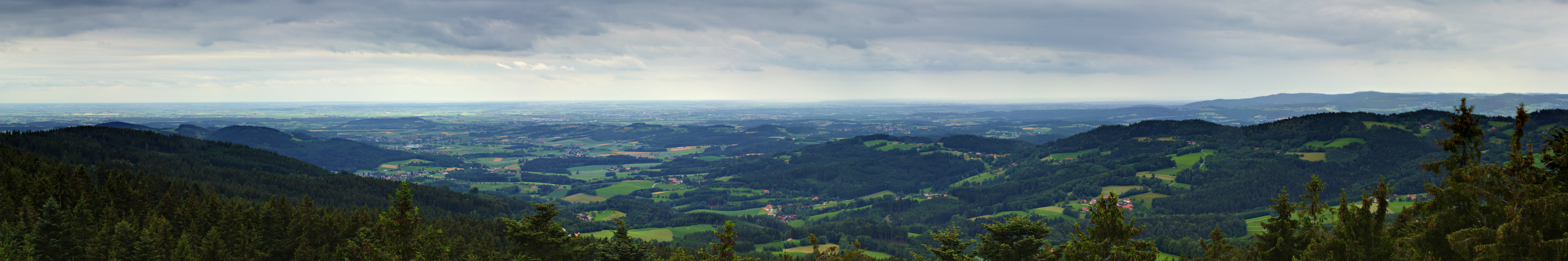 Wald-Wipfel-Weg (Sankt Englmar)