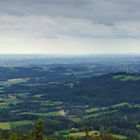 Wald-Wipfel-Weg (Sankt Englmar)